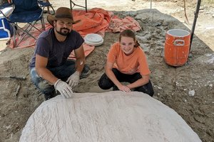 Įspūdinga: paauglė savo šeimos miško ūkyje aptiko 34 milijonų metų senumo banginio kaukolę