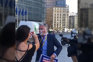 Incidentas Briuselyje: aktyvistės „Ryanair“ vadovui į veidą metė du pyragus