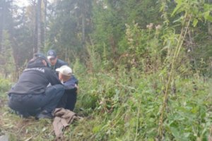 Plungės rajono miške pareigūnai ieškojo pasiklydusio grybautojo: rastas vyras perduotas medikams