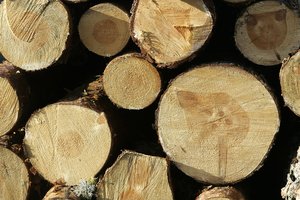 Tęsiasi medienos pramonės krizė – fabrikai negali veikti pilnu pajėgumu