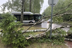 Stiprus vėjas Lietuvoje vartė medžius: pranešė, kur situacija sudėtingiausia