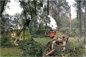 Vilniuje šalinami savaitgalį siautusios audros padariniai: „Padaryta žala – tikrai didelė“