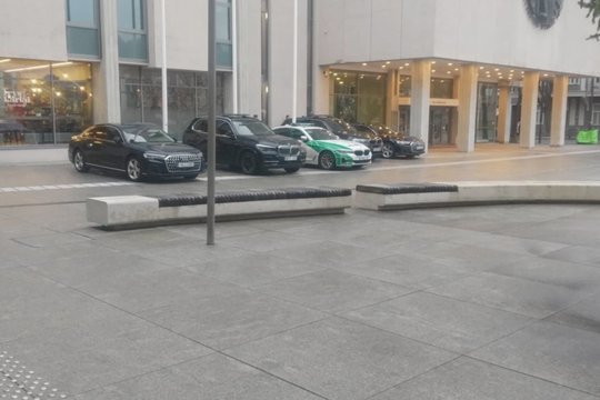 Kaunietį pribloškė taip priparkuoti aukštų šalies pareigūnų automobiliai: „Gal ir ant žolės galėtų?“