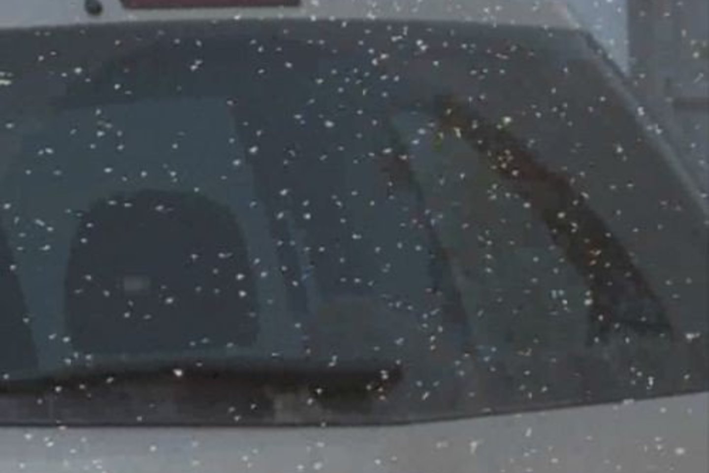 B.Beinoravičius