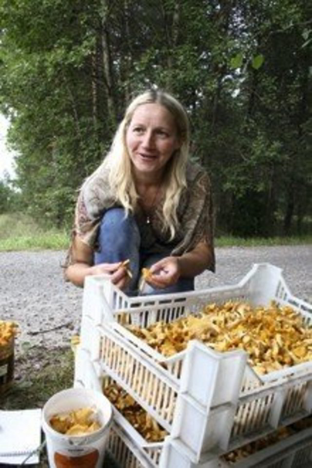 Macinkoniškė J.Janušauskienė - užkietėjusi grybautoja. Konkurentų kasmet ji turi vis mažiau.