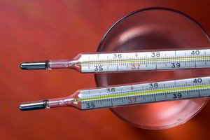 Gyvsidabriui surinkti tinka ir duona