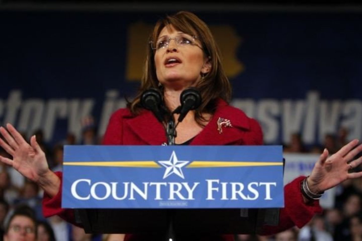 S.Palin atsisakė liudyti pirmojo tyrimo metu, bet bendradarbiavo su antruoju tyrimu.