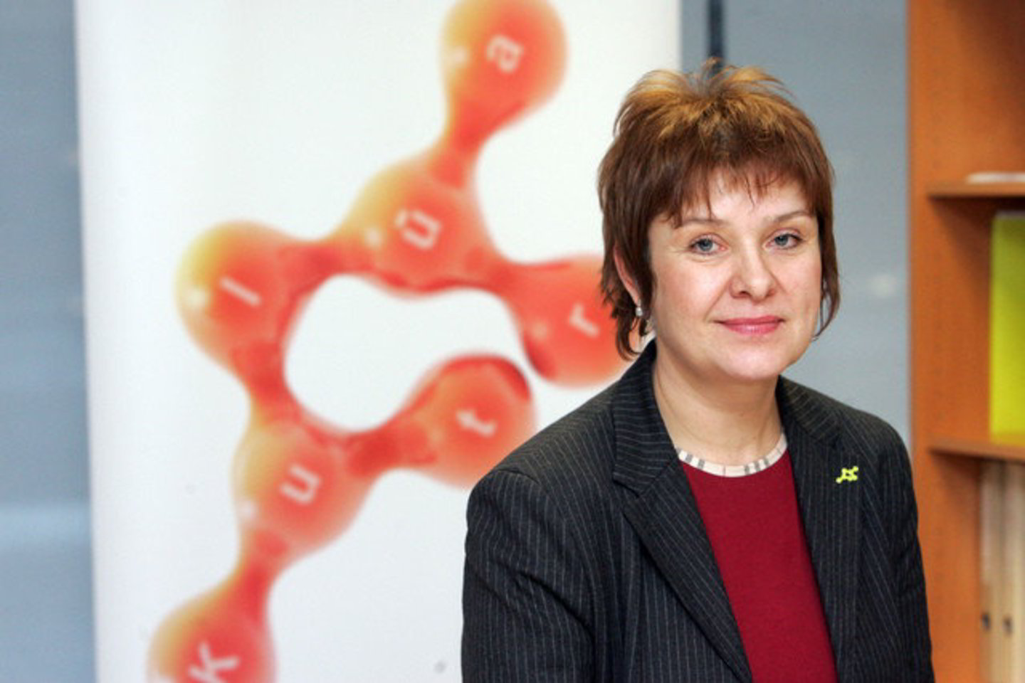 "Vienas iš programos VEKS 2009 uždavinių - padėti pamatus tolesnei kultūrinei, ekonominei valstybės plėtrai", - teigė E.Bajorinienė.