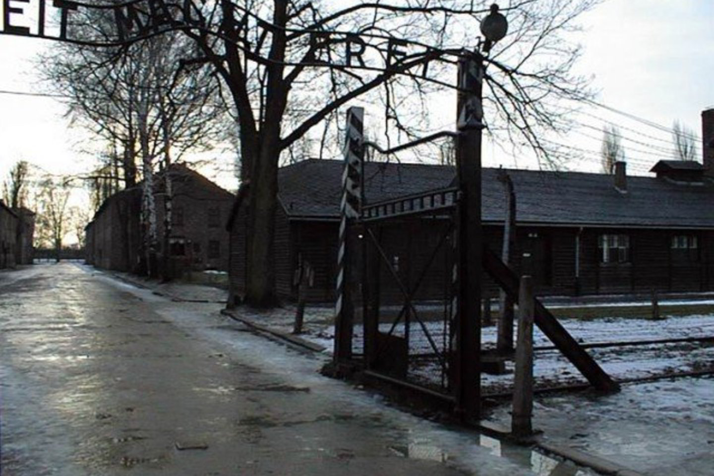 Osvencimas, kurį vokiečiai vadina Aušvicu, ir šalia jo buvusi Birkenau koncentracijos stovykla laikomos didžiausiomis karo metų mirties stovyklomis.