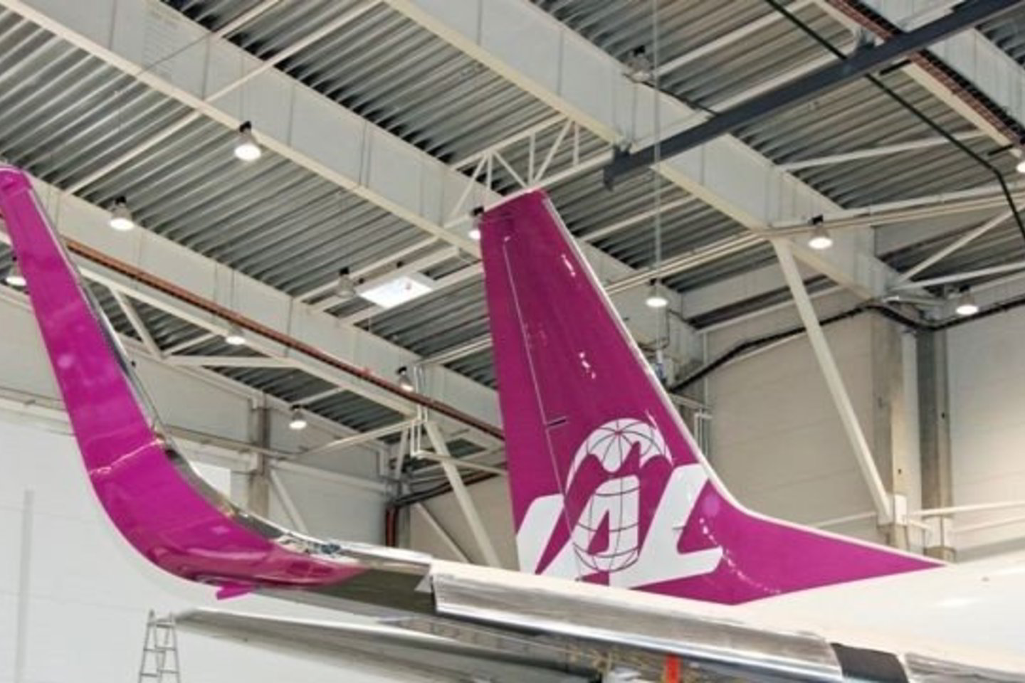Lėktuvą „Boeing 737-300“ su instaliuotais specialiais sparnų elementais „flyLAL“ nuomojasi iš tai pačiai aviacijos verslo įmonių grupei priklausančios bendrovės „Avia Asset Management“.
