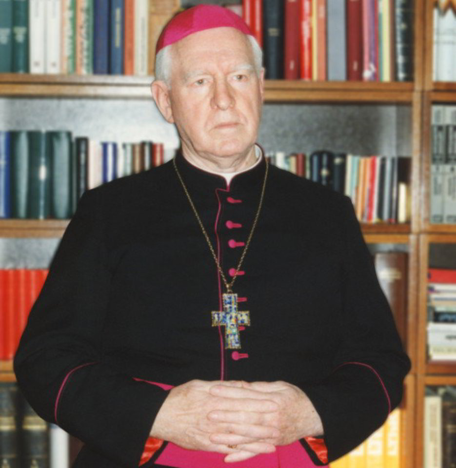 Visi, pažinoję vyskupą Vladislovą Michelevičių, prisimena jo nuoširdų draugiškumą bei uolų atsidavimą dėstytojo pareigoms.