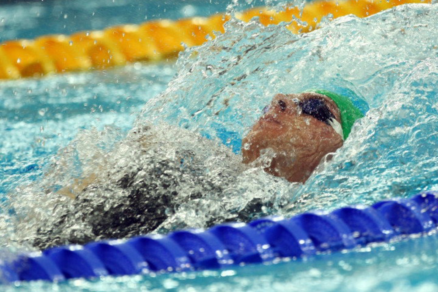 V.Janušaitis 100 m rungties kompleksiniu būdu finale distanciją įveikė per 53,69 sekundės.