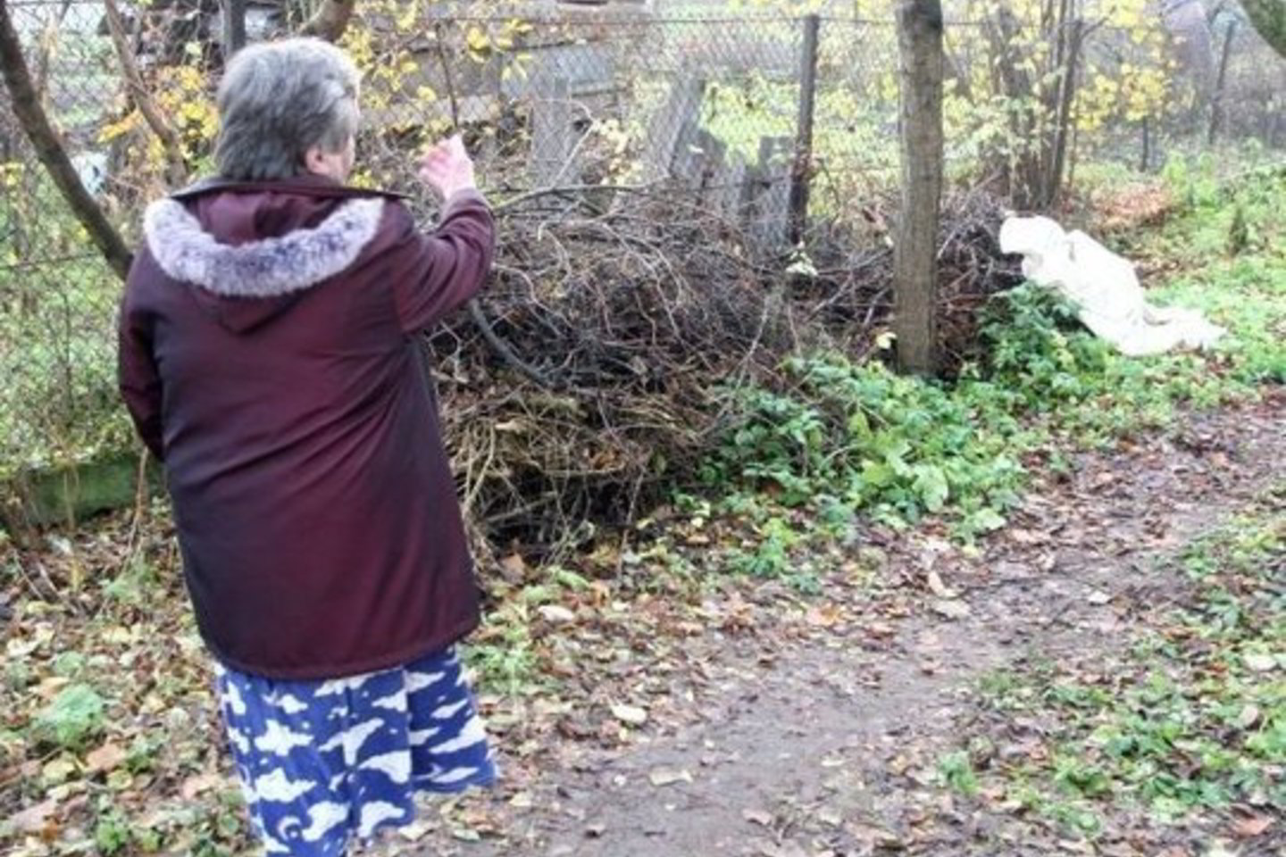 Žudikas sugriovė R.Karūnienės gyvenimą - moteris neteko sūnaus.