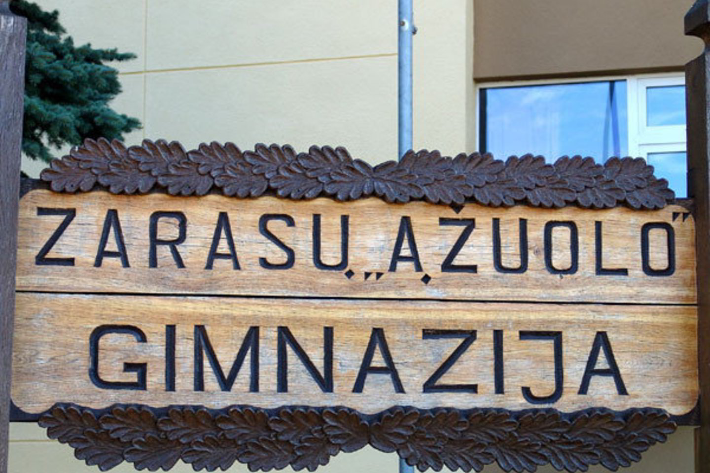 Zarasų rajono savivaldybėje buvo parengtas profilaktinių priemonių planas, siekiant sustabdyti galimą ligos plitimą.