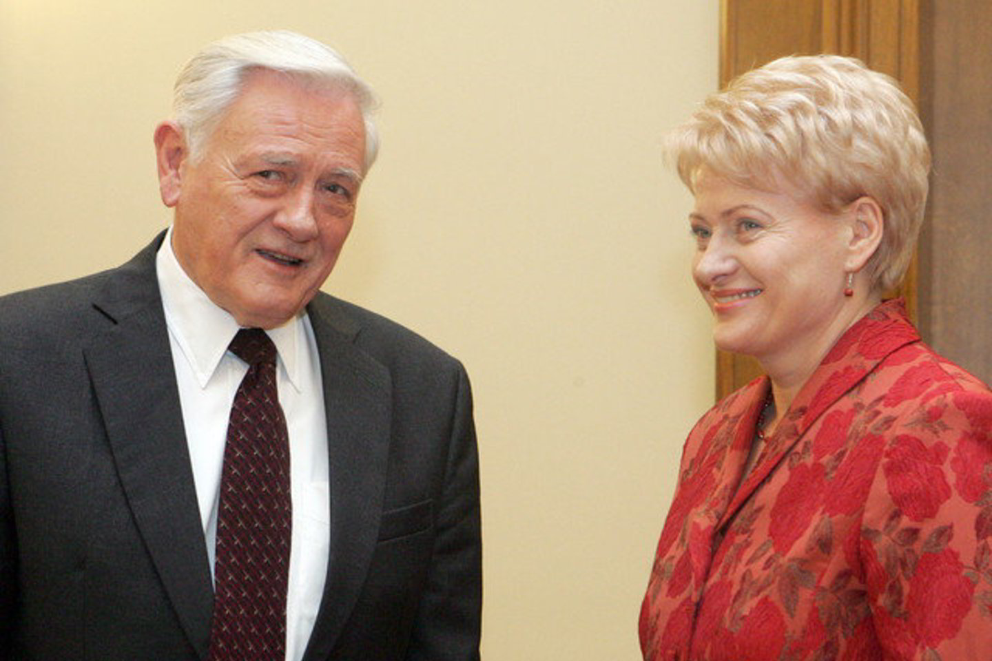 Žmonės mano, kad V.Adamkus ir D.Grybauskaitė geriausiai atstovauja jų interesams.