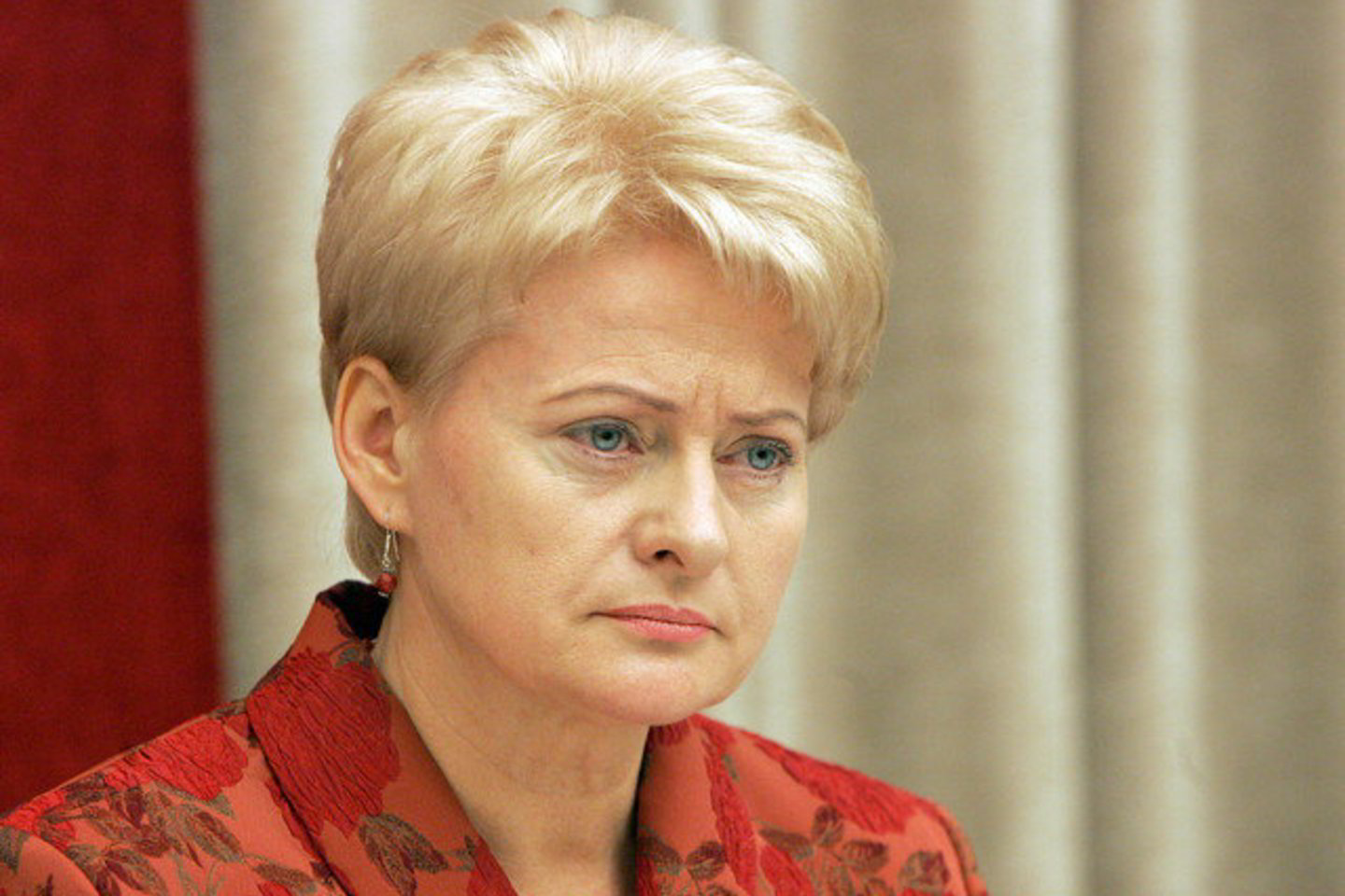 D.Grybauskaitės teigimu, šioje srityje daugiausia kalbama apie Baltijos regioną, ir tai „gali labai pagelbėti Lietuvos situacijai“.