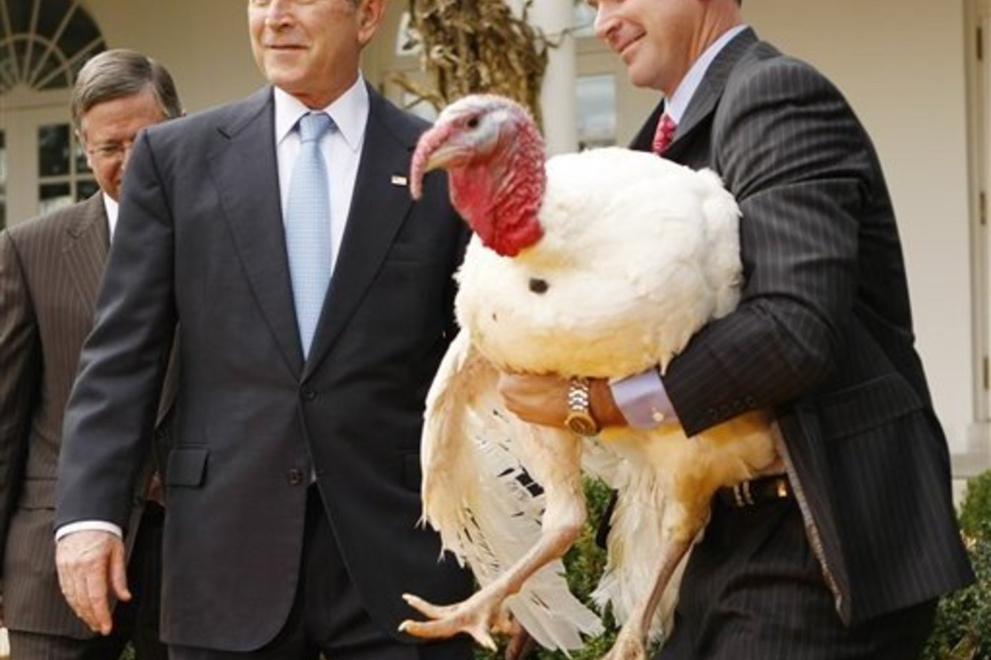 Su visu deramu rimtumu ir ceremoniją lydėjusiu burbuliavimu, G.W.Bushas dovanojo gyvybę Pumpkinui.