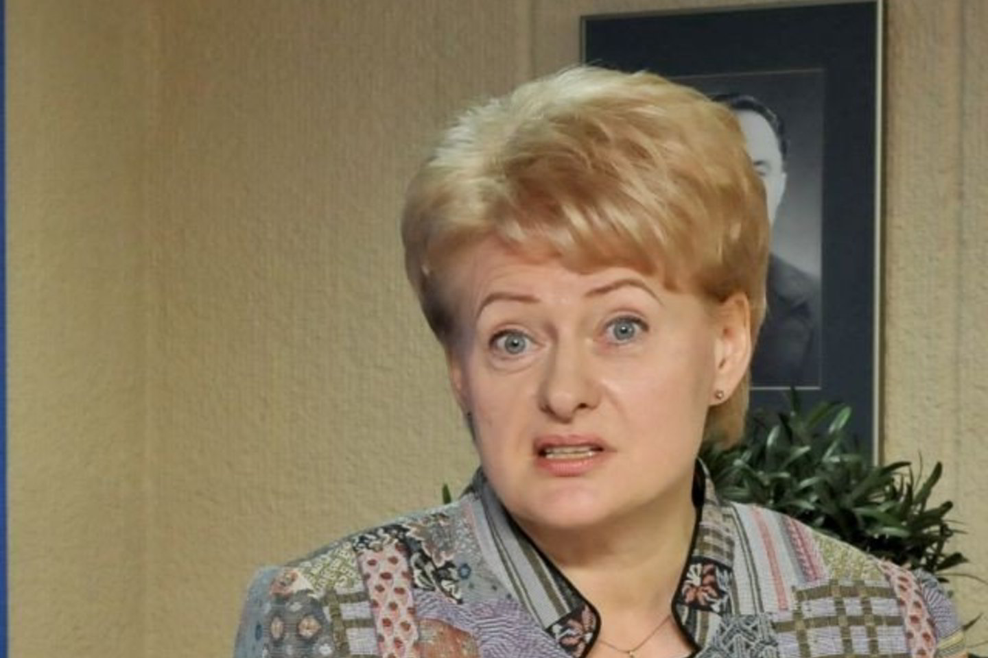 D.Grybauskaitė kartojo, kad būsimajame antikriziniame plane pirmiausia turėtų būti numatyta stabilizuoti valstybės finansus bei atlikti struktūrines reformas.