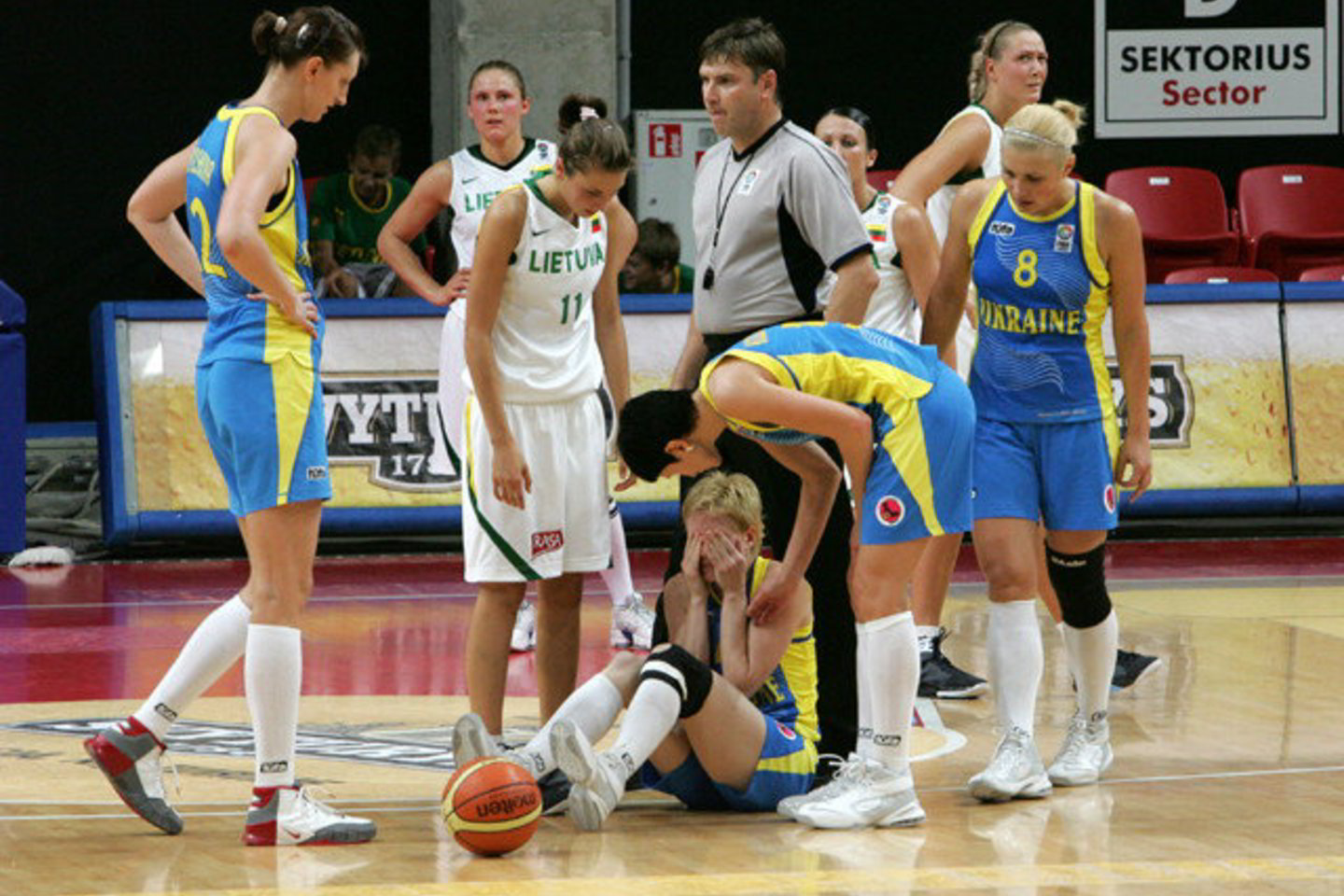 2009 metų Europos čempionate dalyvaus ir Lietuvos rinktinė.
