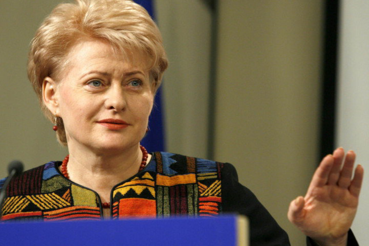 Pasak D.Grybauskaitės, Lietuvai dabar svarbiausia stabdyti vartojimą.