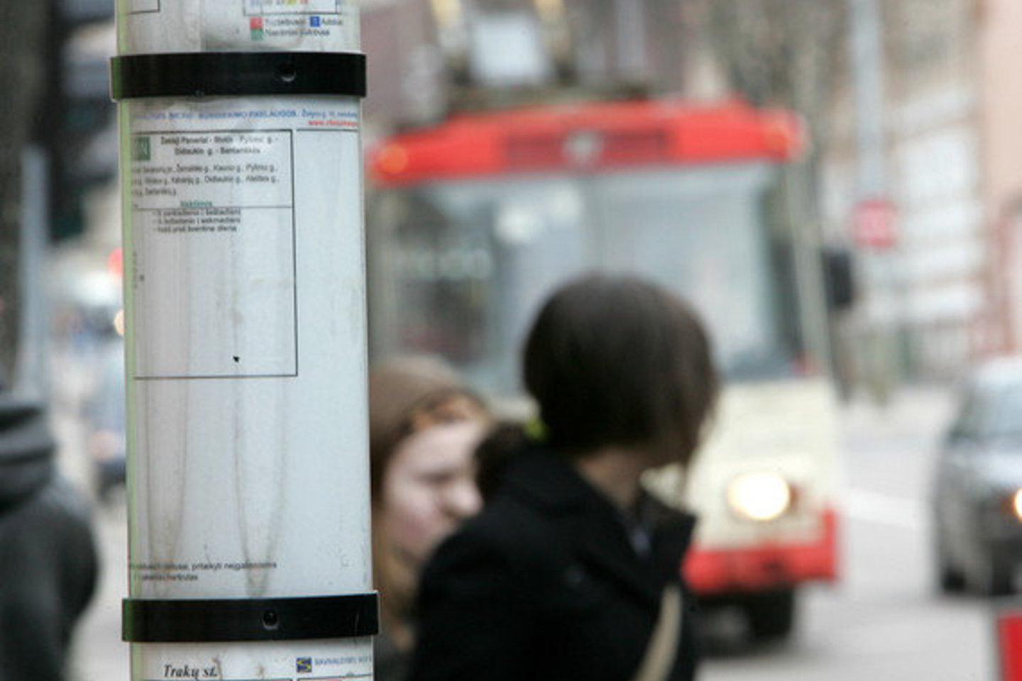 Vilniečiams siūloma pabranginti viešąjį transportą.