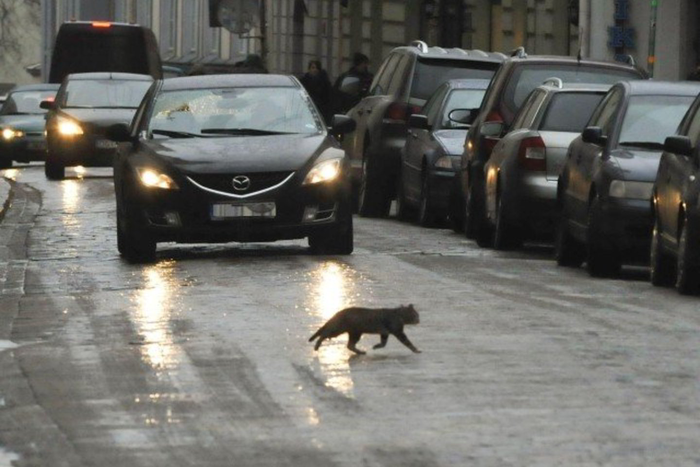 Miestuose anksti ryte keliai vietomis taip pat buvo slidūs.