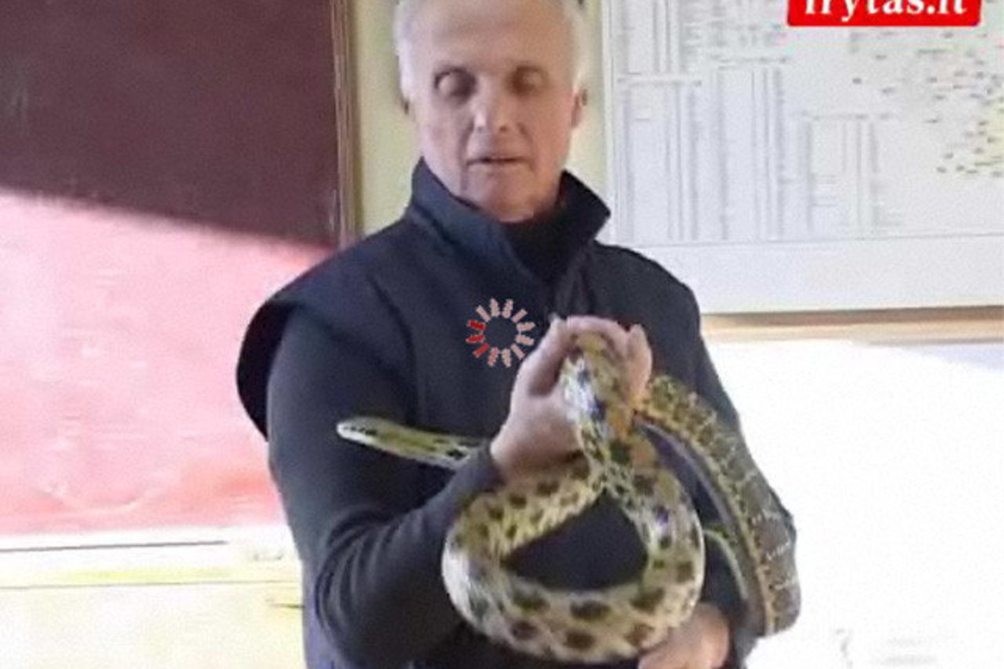 Roplių specialistas sako, kad gyvūnus mokykloje laikyti pradėjo prieš 30 metų.