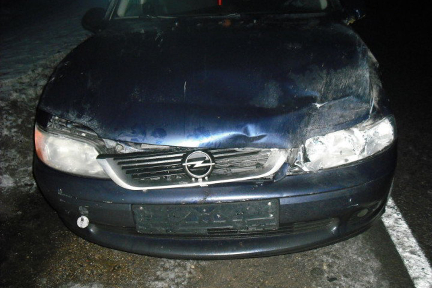 Automobilio priekis po susidūrimo su gyvūnu liko stipriai aplamdytas.