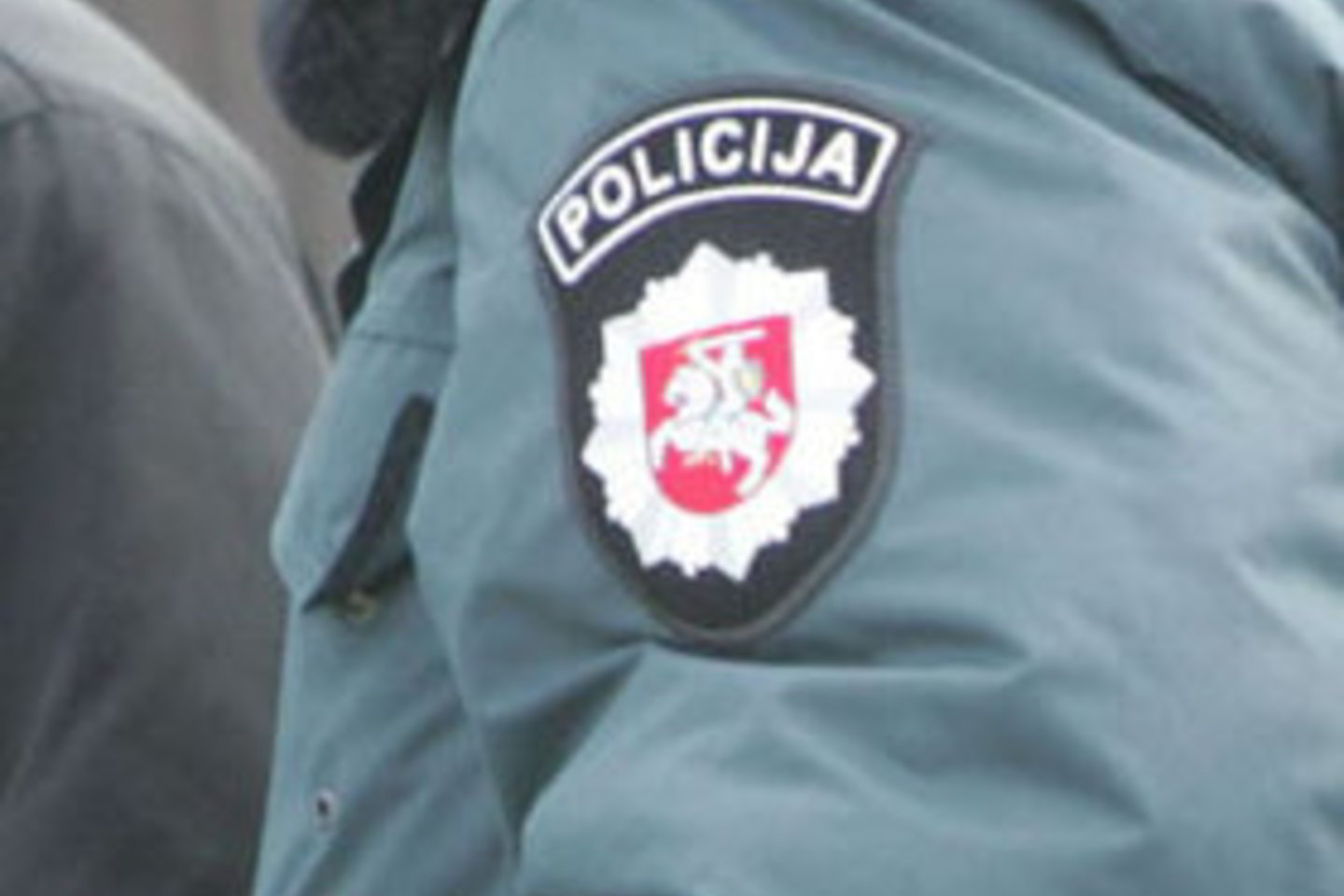 Pareigūnė dėl rankos sumušimo atsidūrė ligoninėje, bet vėliau buvo išleista gydytis į namus.