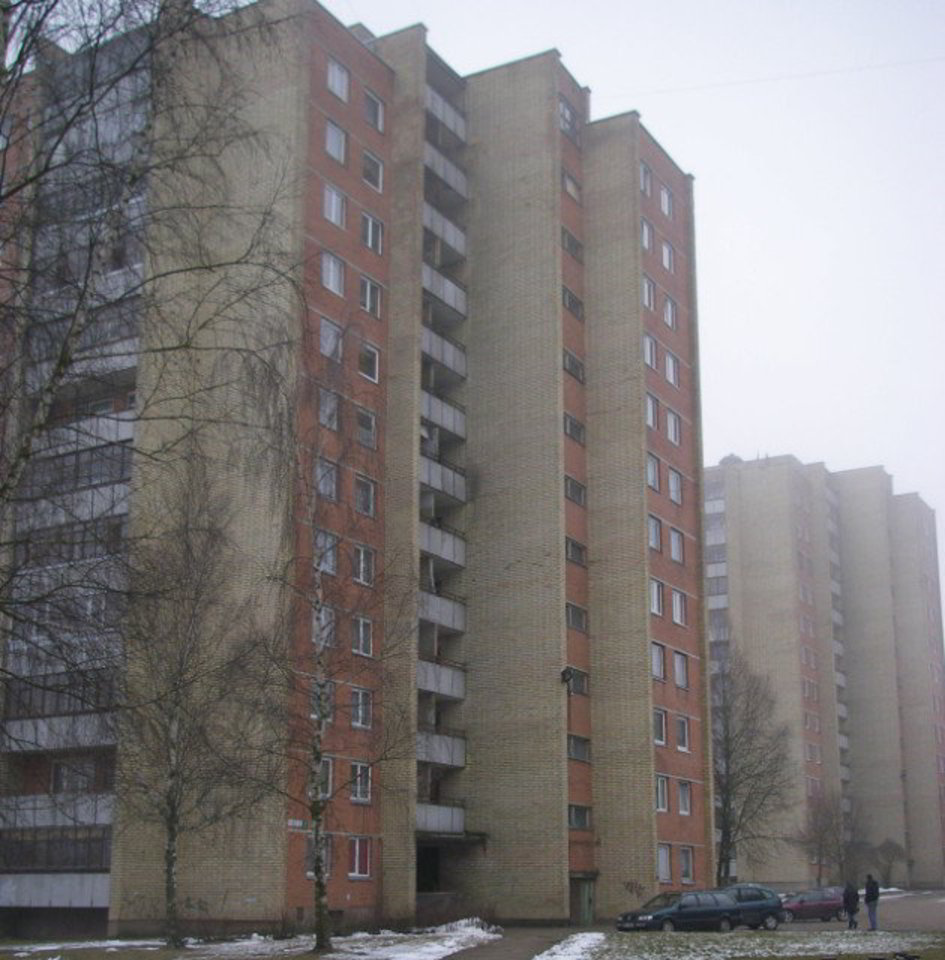 Spėjama, kad moteris iššoko iš dvylikto aukšto laiptinės balkono ir mirė iš karto.