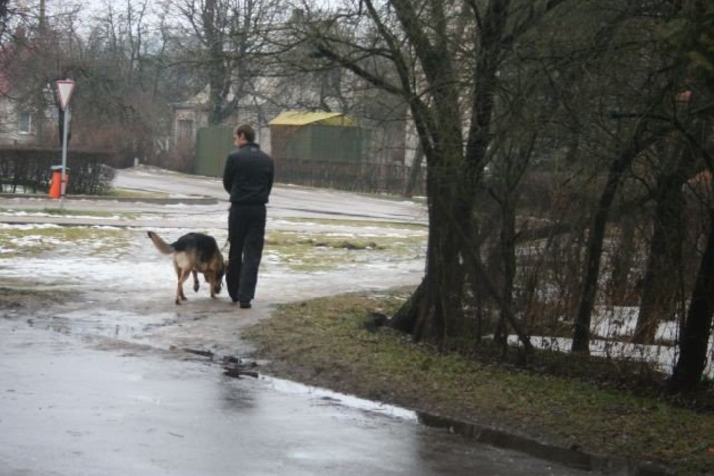Keturkojų mylėtojai dažnai vedžioja šunis be antsnukio, leidžia jiems dergti pieveles, smėlio dėžes, patvorius, kitas viešas vietas.