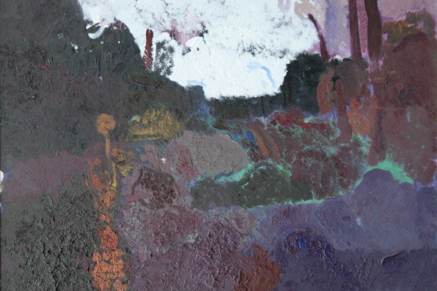 M.Jankus. Medžiais apaugusi pikta širdis, 2004.