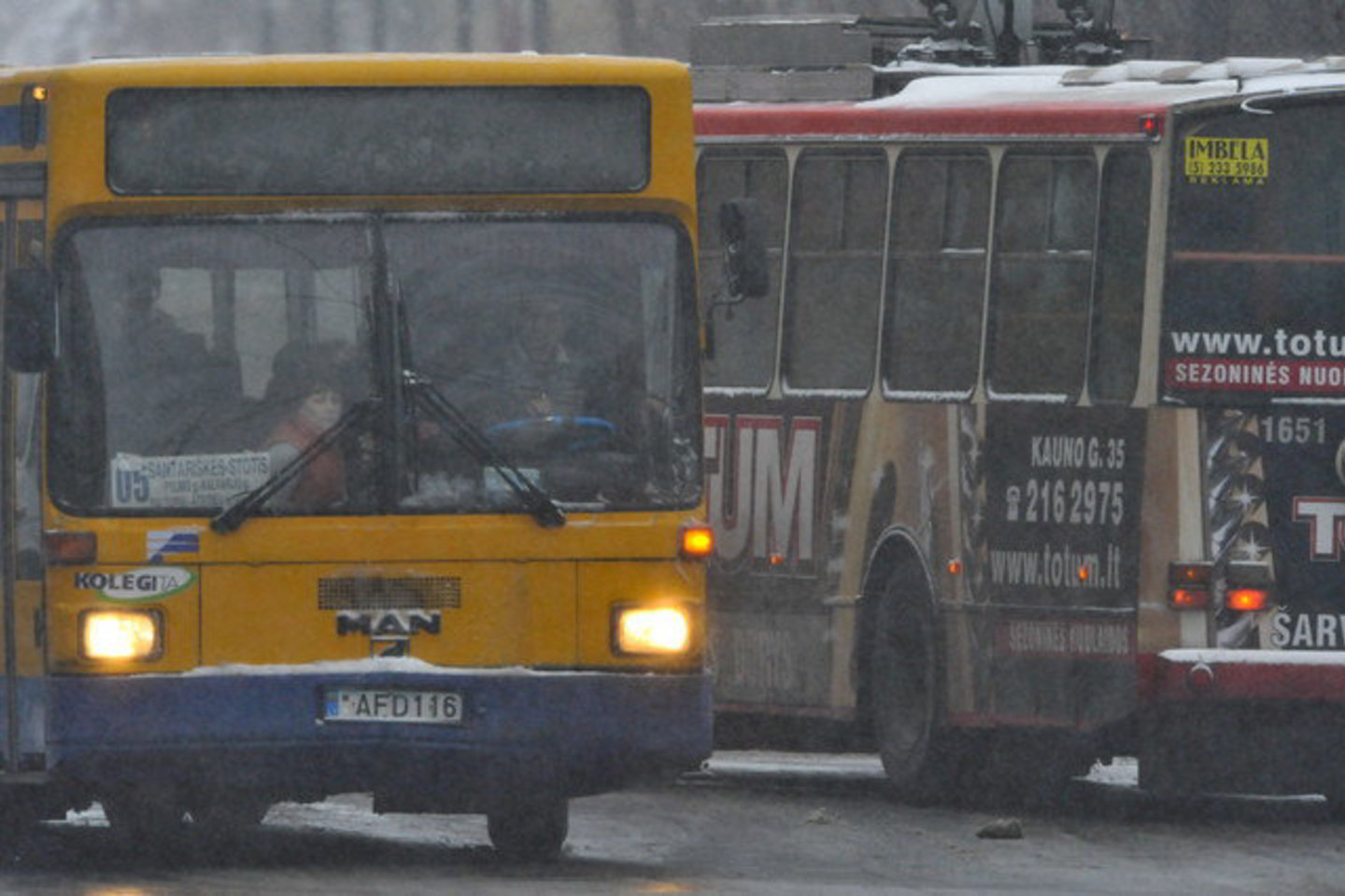 Mėnesinis bilietas važiuoti troleibusu ir autobusu visomis dienomis kainuoja 110 litų.
