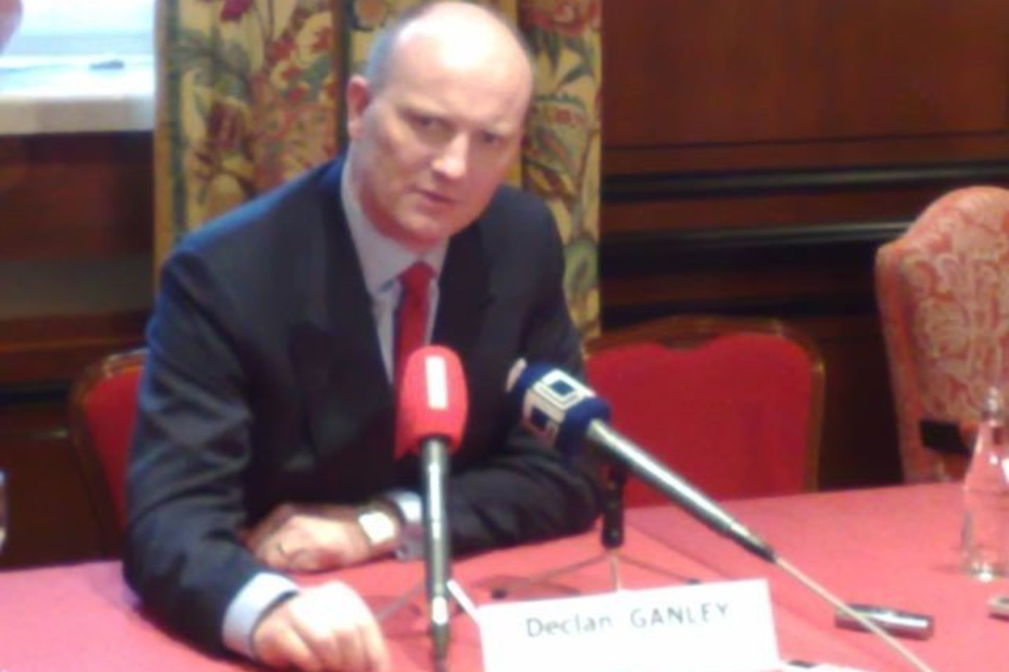 „Libertas“ įkūrėjas D.Ganley Europos Parlamento rinkimų Lietuvoje sąrašą ketina paskelbti per kelias savaites.