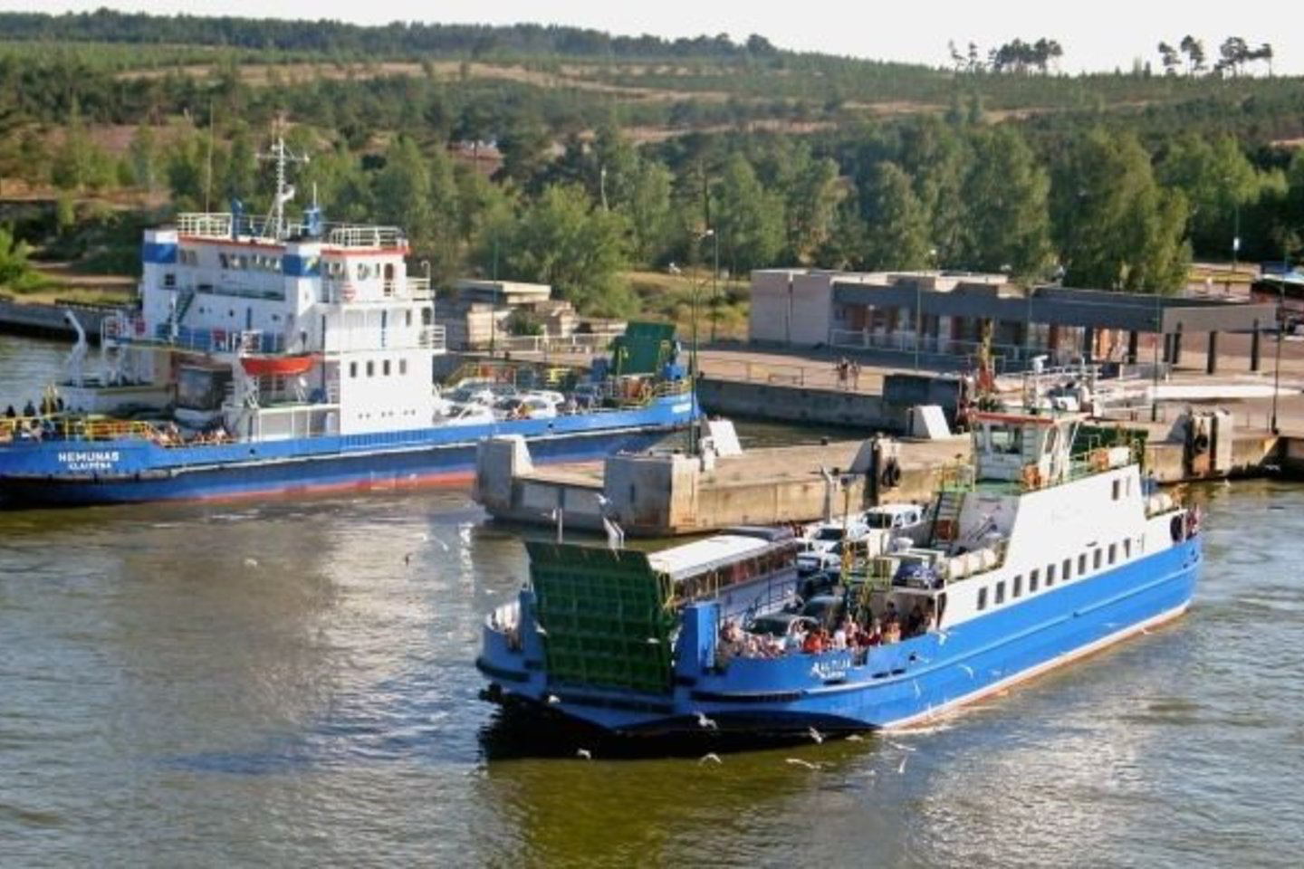 „Smiltynės perkėla“ vasarą skaičiuoja pelną, o žiemą - nuostolius.
