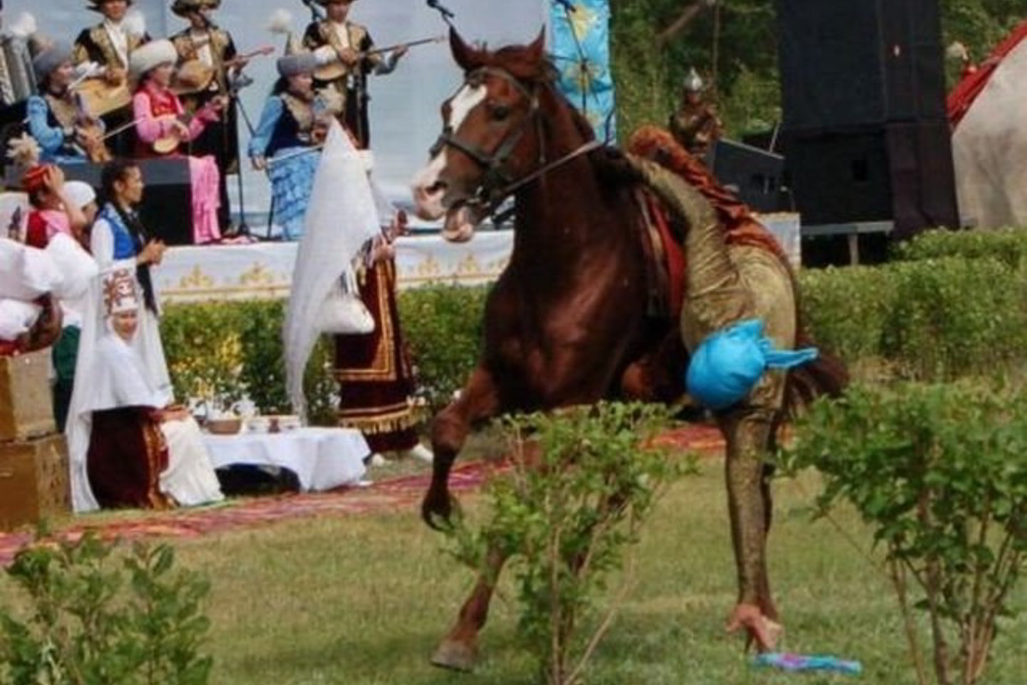 Kazachai puikiai valdo žirgus - raitelių tradicija labai sena.