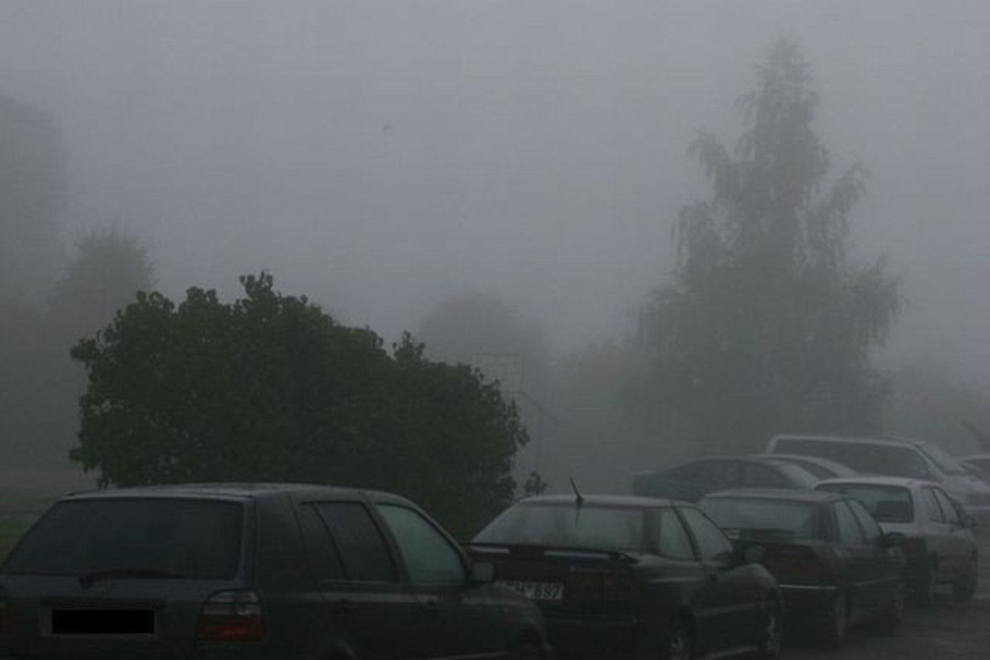 Eismas autostradoje buvo paralyžiuotas beveik 4 valandas.
