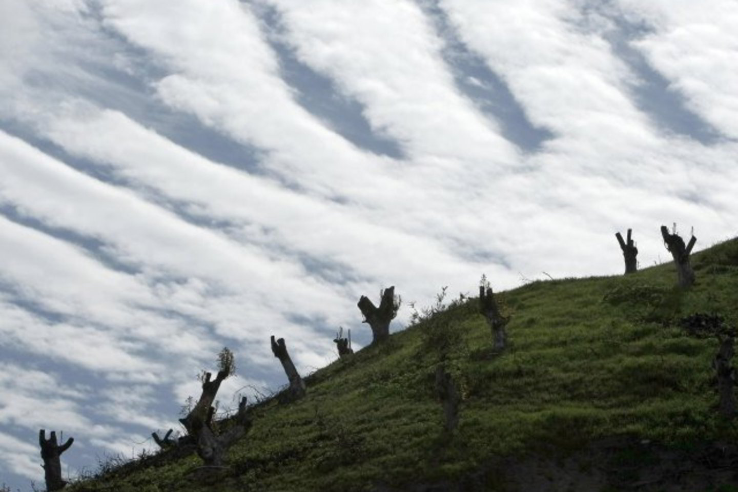 Globalus temperatūros kilimas spartės ir tai gali turėti pragaištingų padarinių.