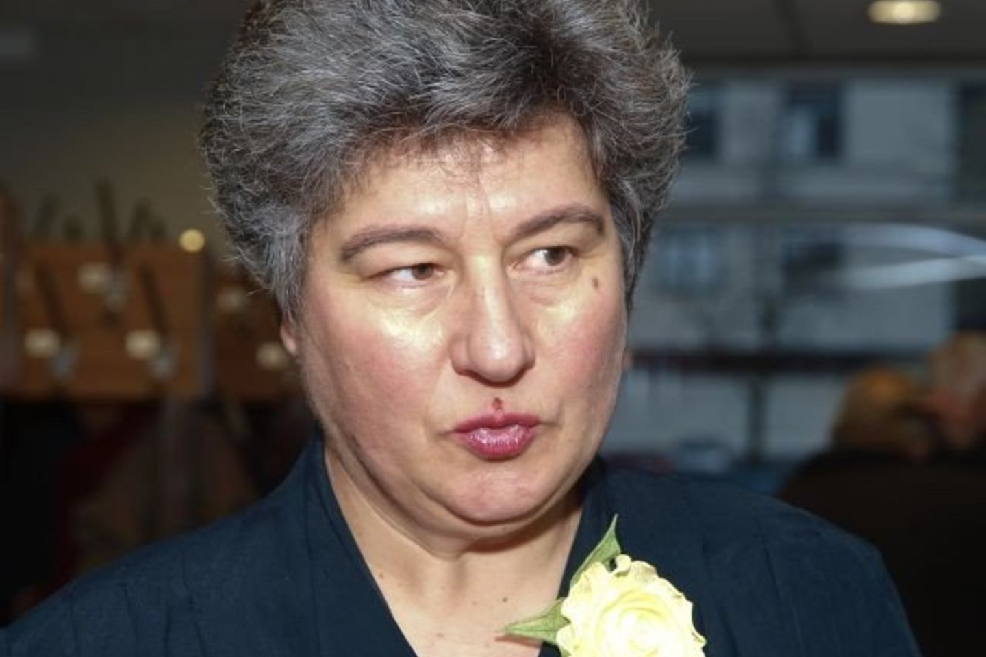 B.Valionytė tapo premjero konsultante visuomeniniais klausimais.