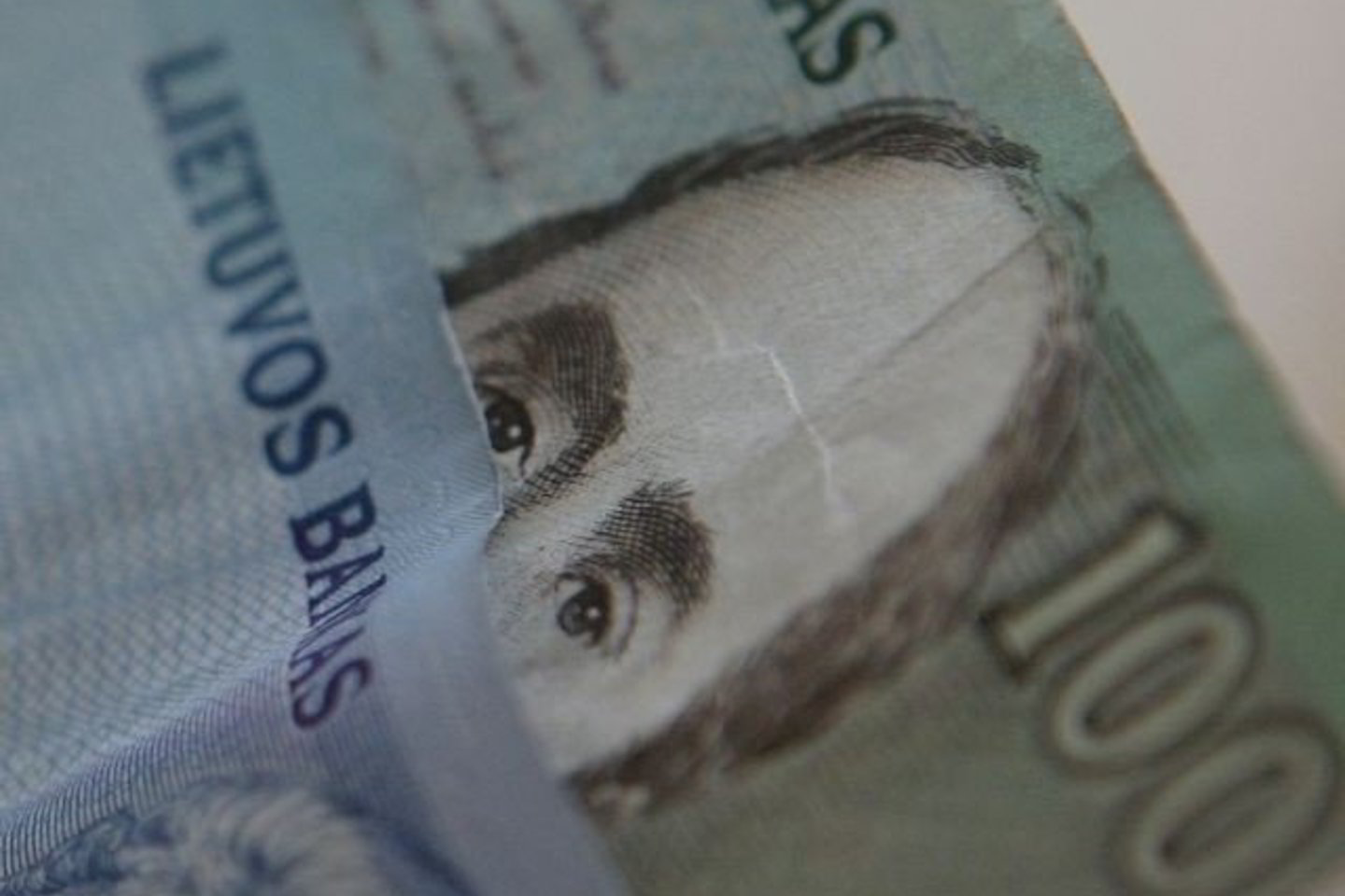 A.Šemeta mano, kad atlyginimų mažinimas valdžios sektoriuje turi duoti impulsą ir privačiam sektoriui.
