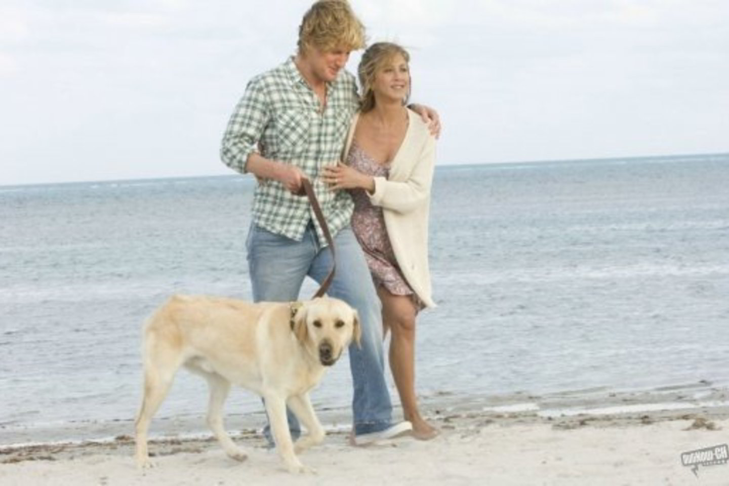 Žiūrovai plaukė pažiūrėti į nenuoramą labradorą Marlį.