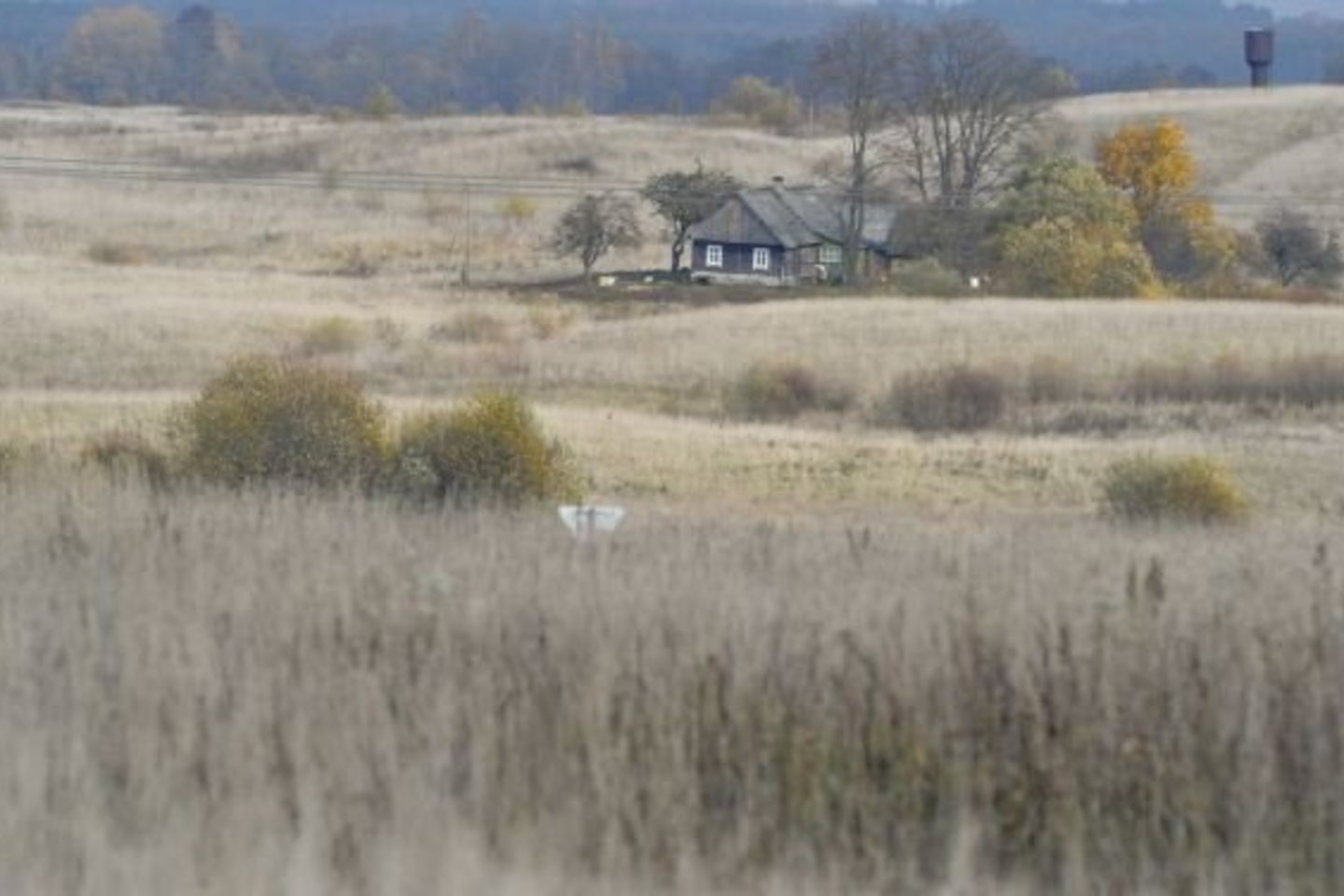 Daugiausia nuosavybės teisių į žemę atkurta Marijampolės, Šiaulių, Telšių bei Panevėžio apskričių kaimo vietovėse.