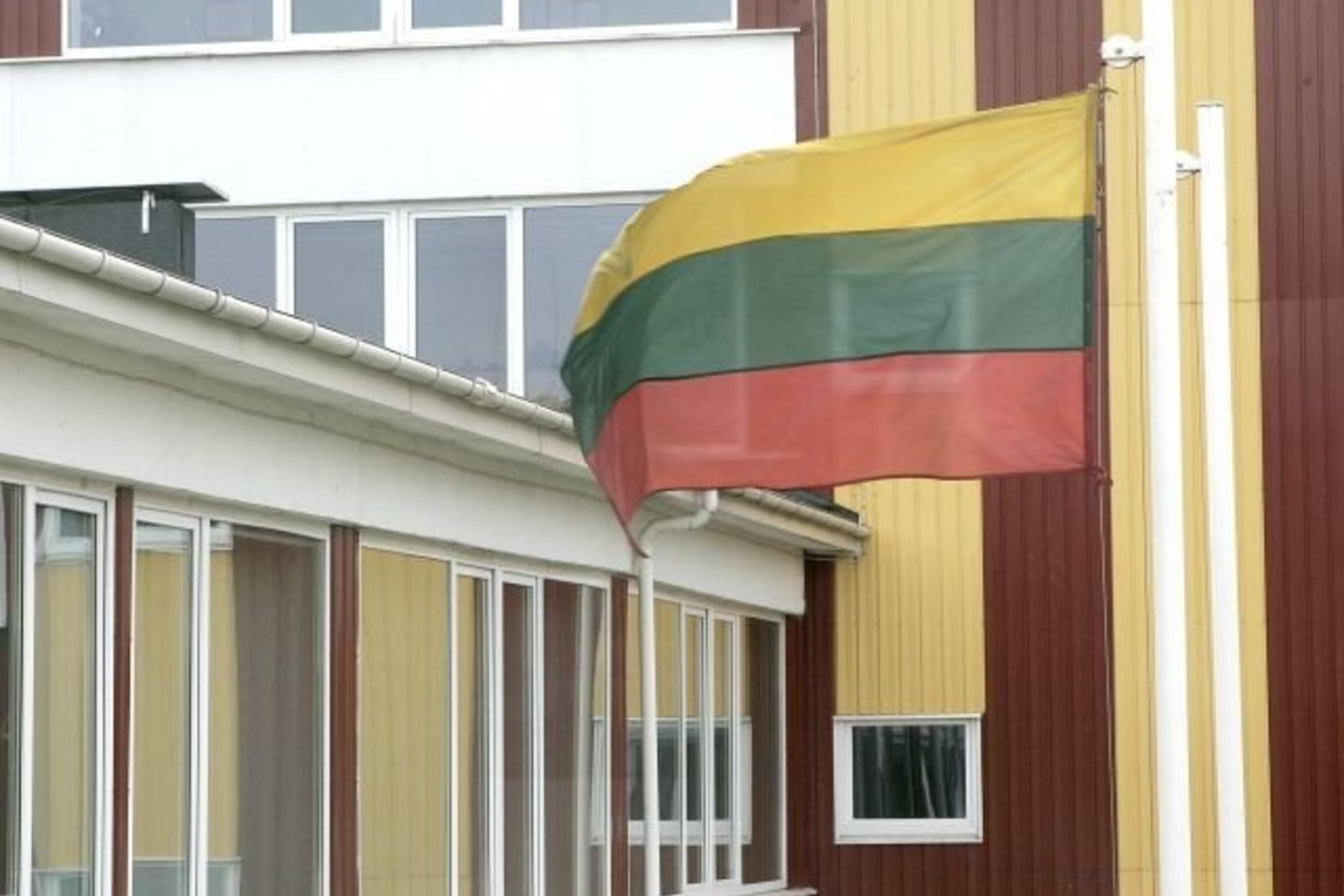 Kovo 11-ąją Kėdainių savivaldybės darbuotojai važinėjo po miestą ir fotografavo namus, ant kurių tą dieną neplėvesavo trispalvės.