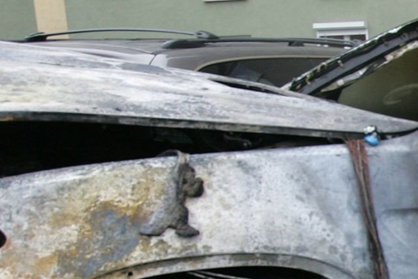 Įtariama, kad automobilis galėjo būti padegtas.