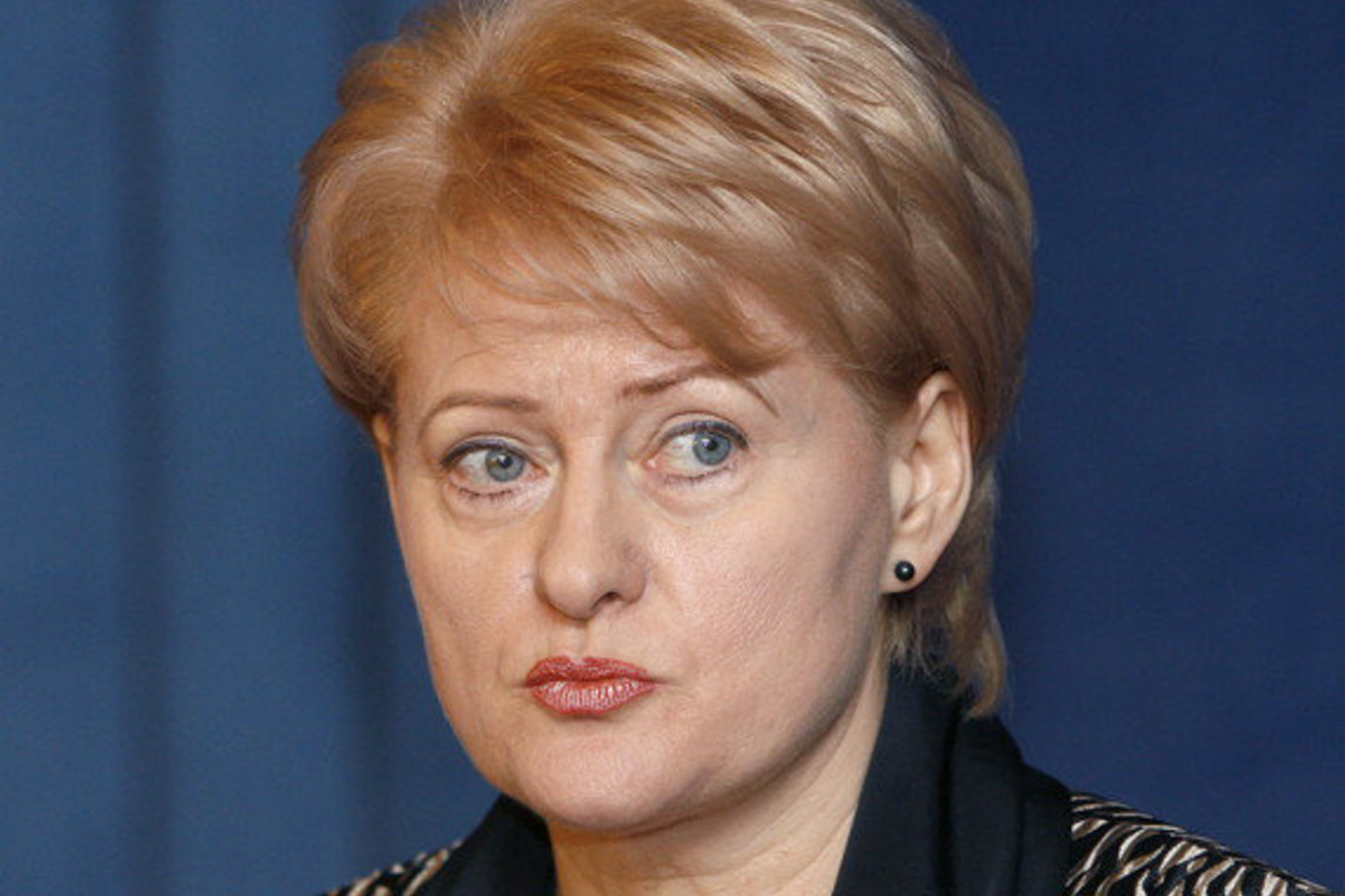D.Grybauskaitė atsargiai vertina būtinybę skolintis.