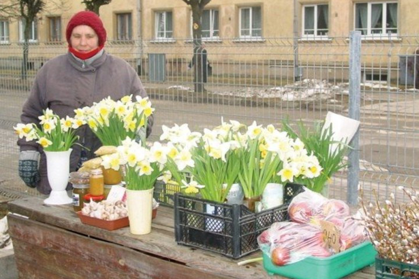 Turgelyje prie ligoninės prekiaujanti bauskietė Tamara tikina, kad gėlių žmonės perka vis mažiau.