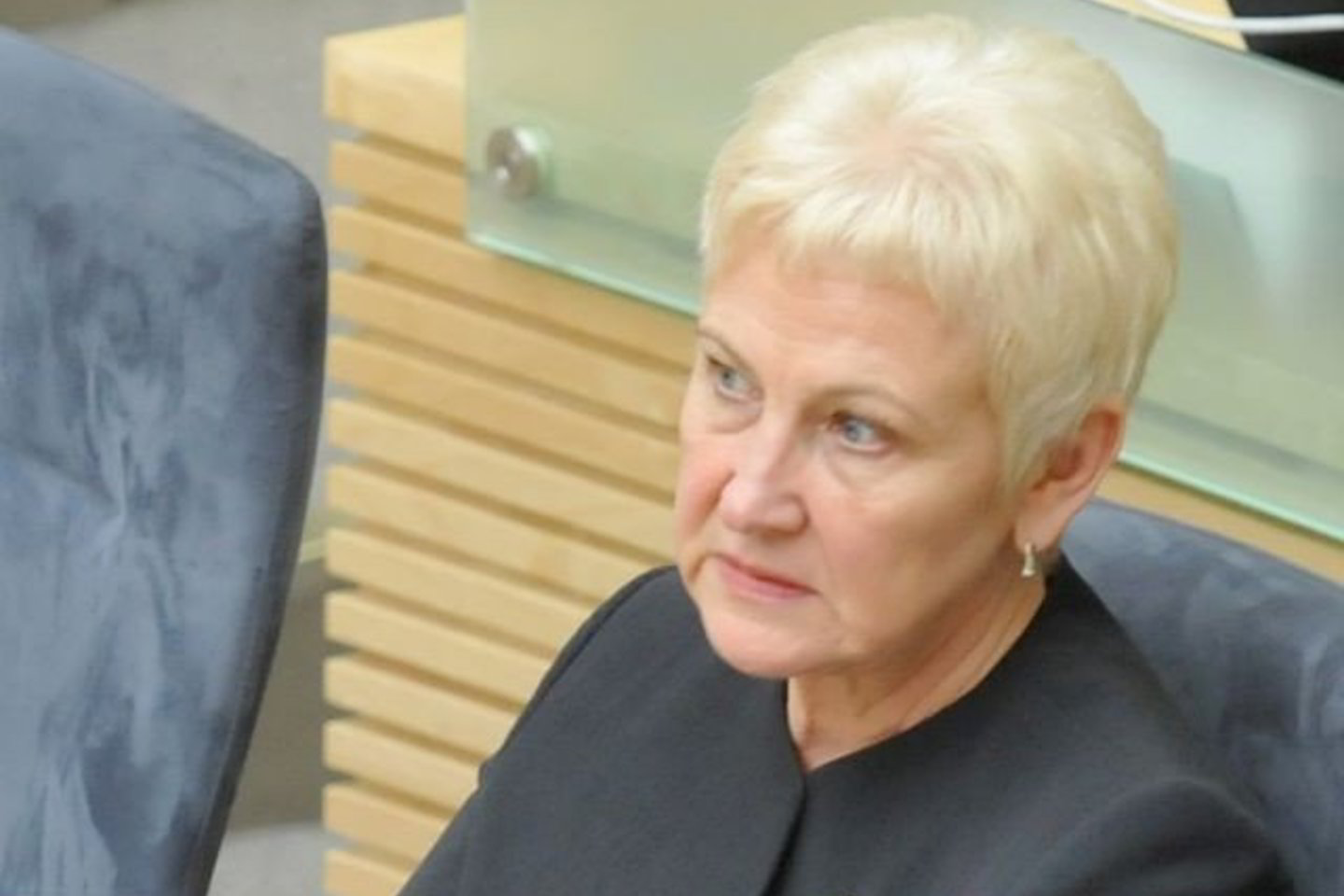 I.Degutienė laukia duomenų iš Finansų ministerijos.