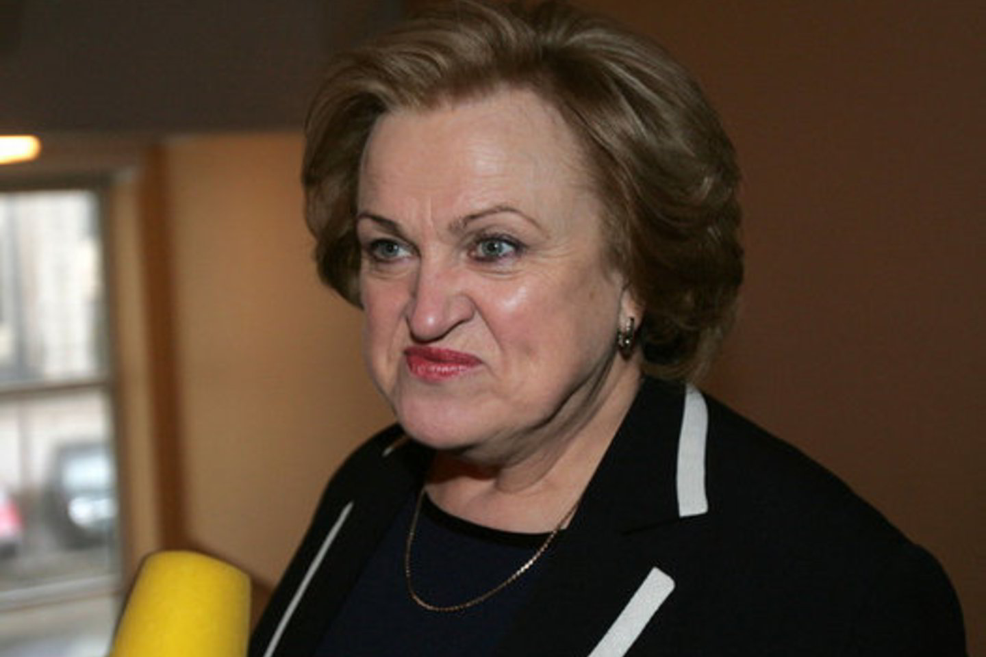 K.Prunskienė parašus ketina atnešti paskutinę dieną.