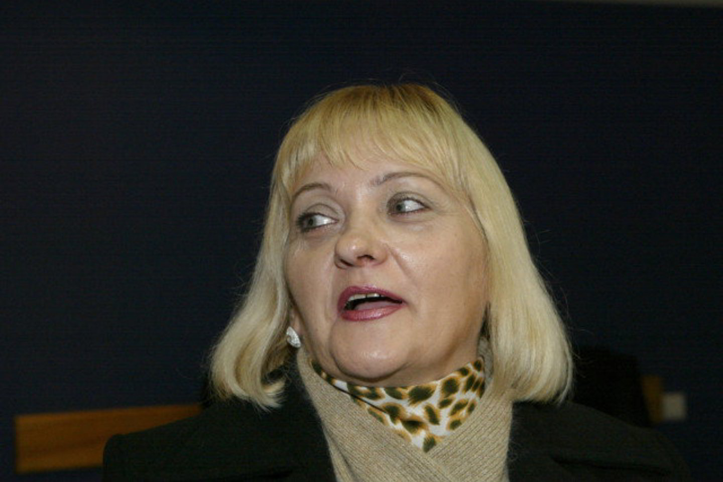 D.Budrevičienė siekia, kad jai būtų priteista 500 tūkstančių litų suma, kurią Panevėžio apygardos teismas buvo sumažinęs iki 85 tūkstančių.