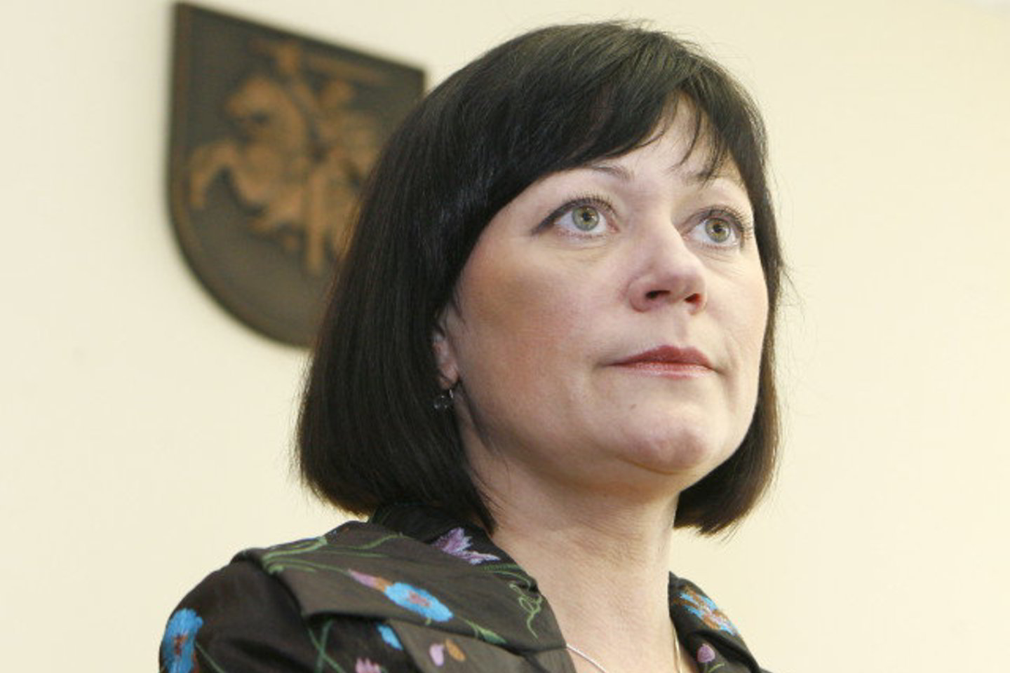 Pasitraukusi iš VTEK pirmininkės pareigų J.Petkevičienė žada dirbti Valstybės saugumo departamente.